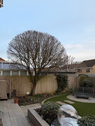 Browns Tree Solutions Ltd — Customer photo