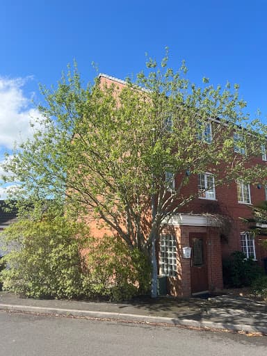 J and Son Trees and Landscapes — Customer photo