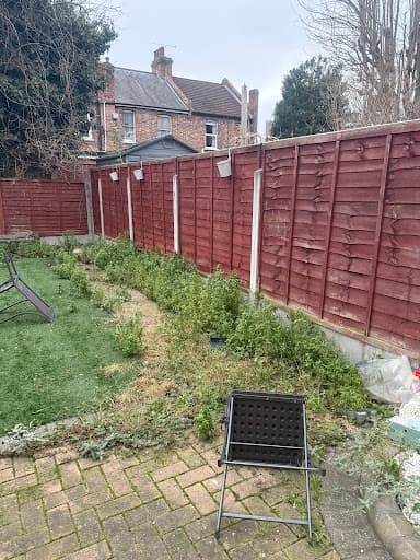 LF Best Gardening Services — Customer photo