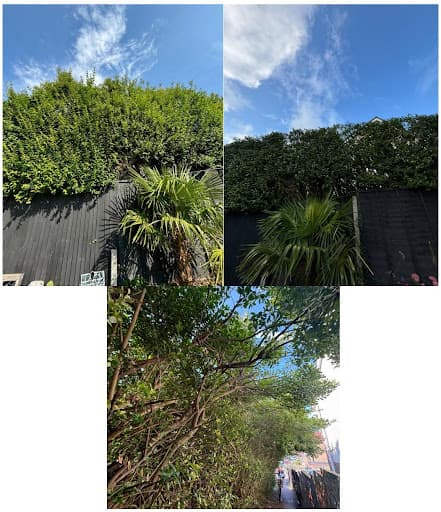 Sanctuary Gardens — Customer photo