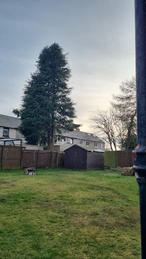 Darach Tree Care — Customer photo