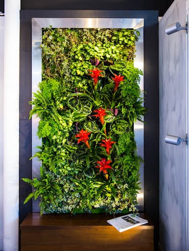 North Hill Gardens Ltd — Customer photo