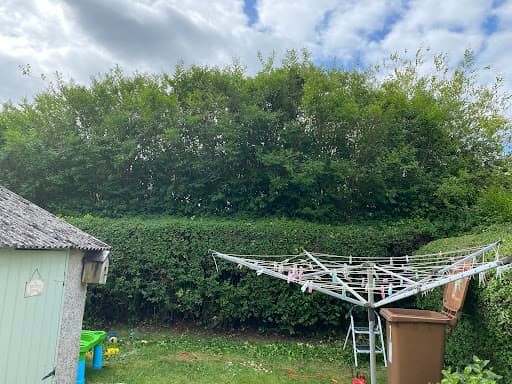 Treescapes NI — Customer photo