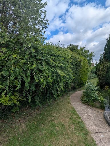 Countryside Trees — Customer photo