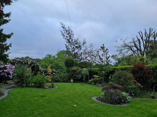 Greensleeves Lawn Care Birmingham South — Customer photo