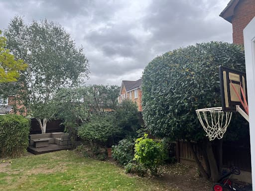 Herring Trees & Landscaping — Customer photo