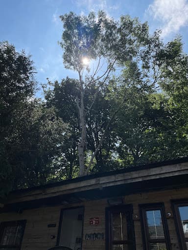Wildwood Treecare — Customer photo