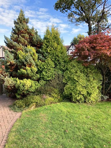 Small’s Tree Surgery Ltd — Customer photo