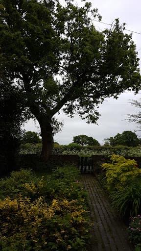 STOKE TREE SURGEON — Customer photo