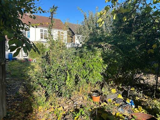 D’n’N garden services luton — Customer photo