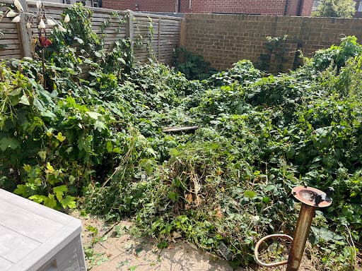 Urban Gardeners South East London — Customer photo