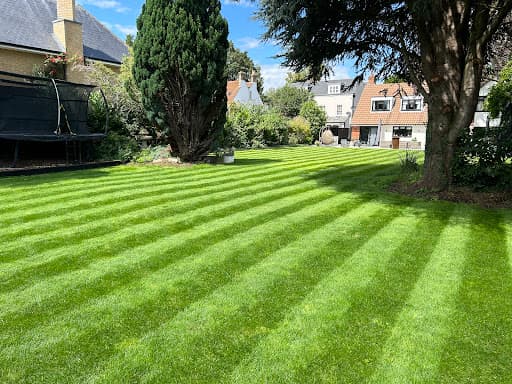 TopGrass (UK) Ltd - Lawn Care - Southeast — Customer photo