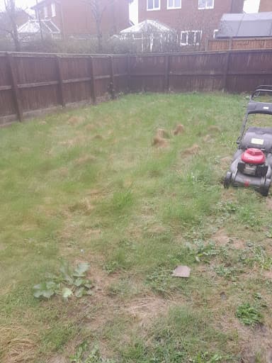 SM Garden Maintenance — Customer photo