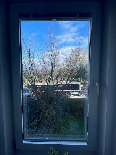 24hrTrees — Customer photo