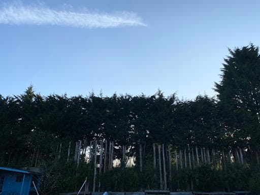 Branching Out Oxford — Customer photo