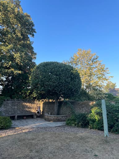 Poppies Trees and Hedges — Customer photo