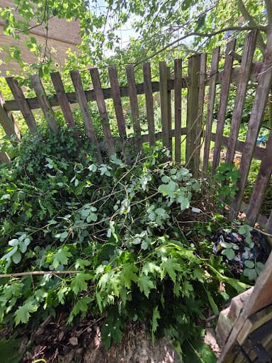 Kyle's gardens — Customer photo