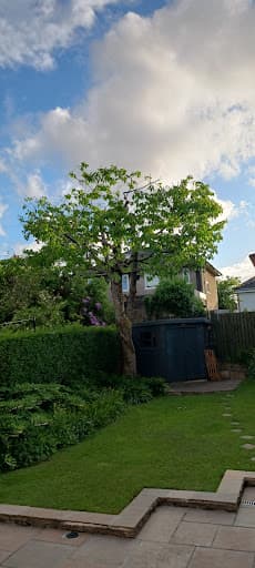 Southside Tree Surgeons — Customer photo