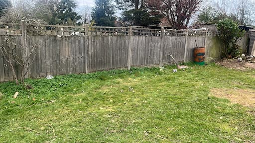Caspar Clearance, Gardening & Waste Removal Services — Customer photo