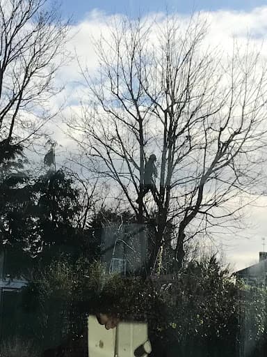 STOKE TREE SURGEON — Customer photo
