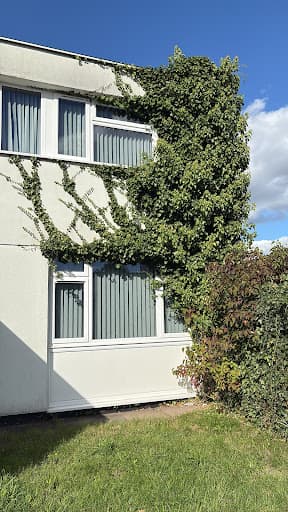 Flowers Landscape Gardening — Customer photo