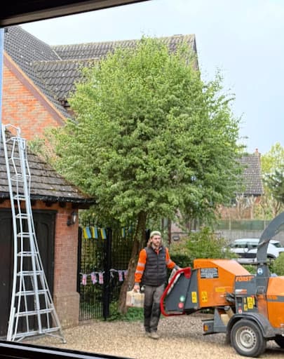 Holmes Tree Services — Customer photo