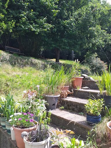 Grass Roots Swansea Garden Services — Customer photo