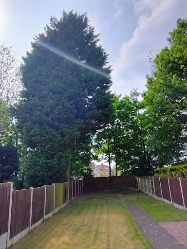 Cutting Edge tree services — Customer photo