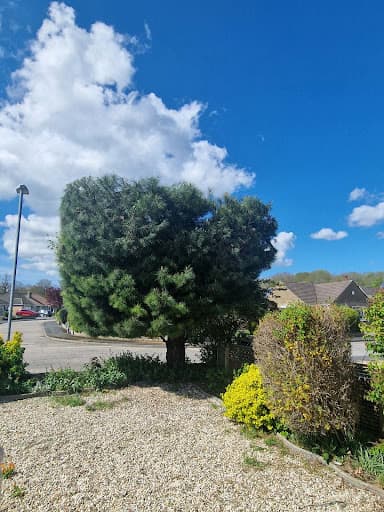 01793 Tree Surgeons LTD — Customer photo