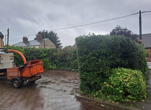 Greenland Tree and Landscaping — Customer photo