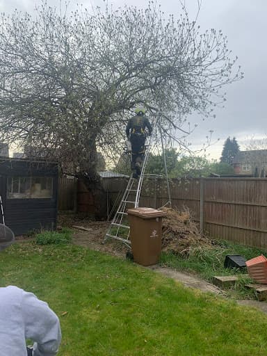 Rogers & Co Tree Services Ltd — Customer photo