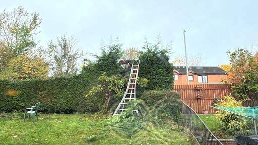 GlasGrow Tree Surgeons — Customer photo