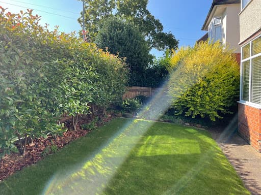 Titan Tree Services Ltd — Customer photo