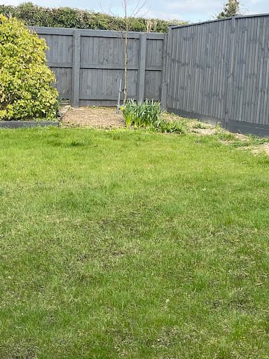 Hedge End Lawns. Turf laying. Lawn care. Grass seeding — Customer photo