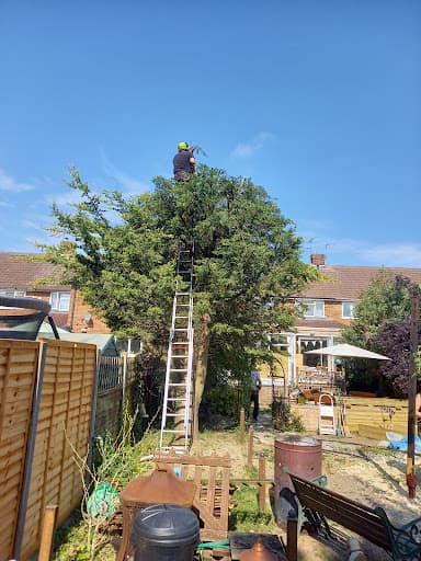 G M Frazer Tree Surgery Ltd — Customer photo