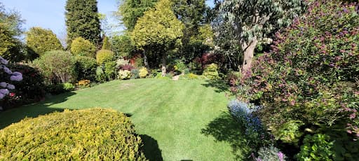 Greensleeves Lawn Care Birmingham South — Customer photo